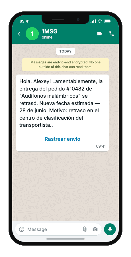 WhatsApp Business API for delivery delay notification