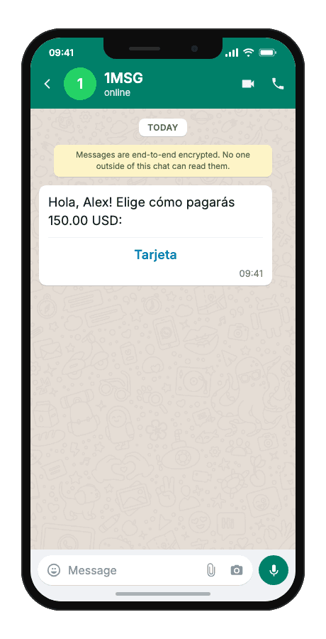 WhatsApp Business API for payment method clarification