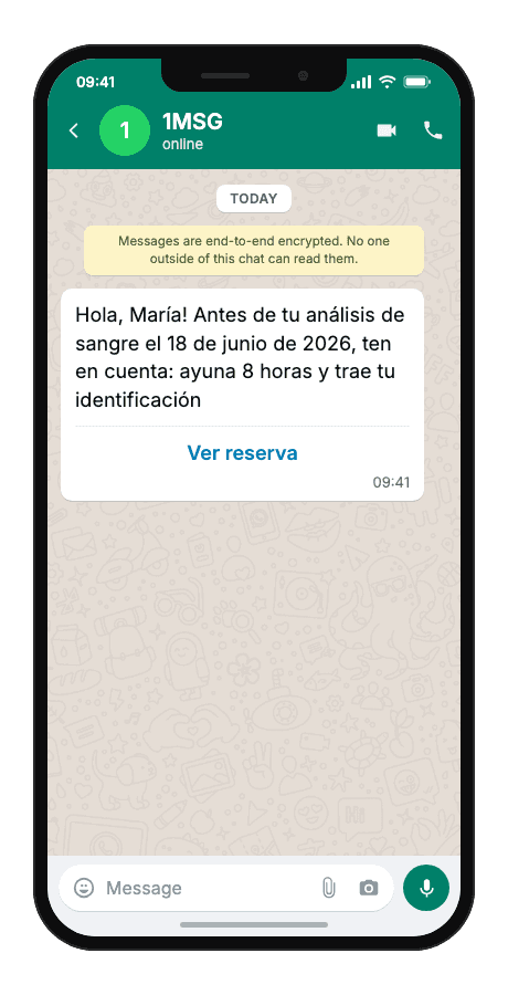 WhatsApp Business API for pre-visit instructions