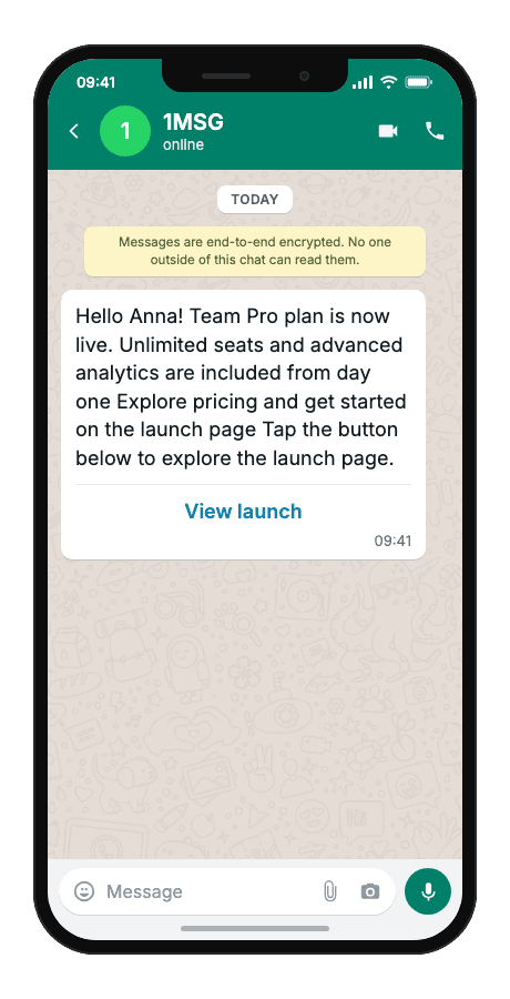 WhatsApp Business API for product launch announcement