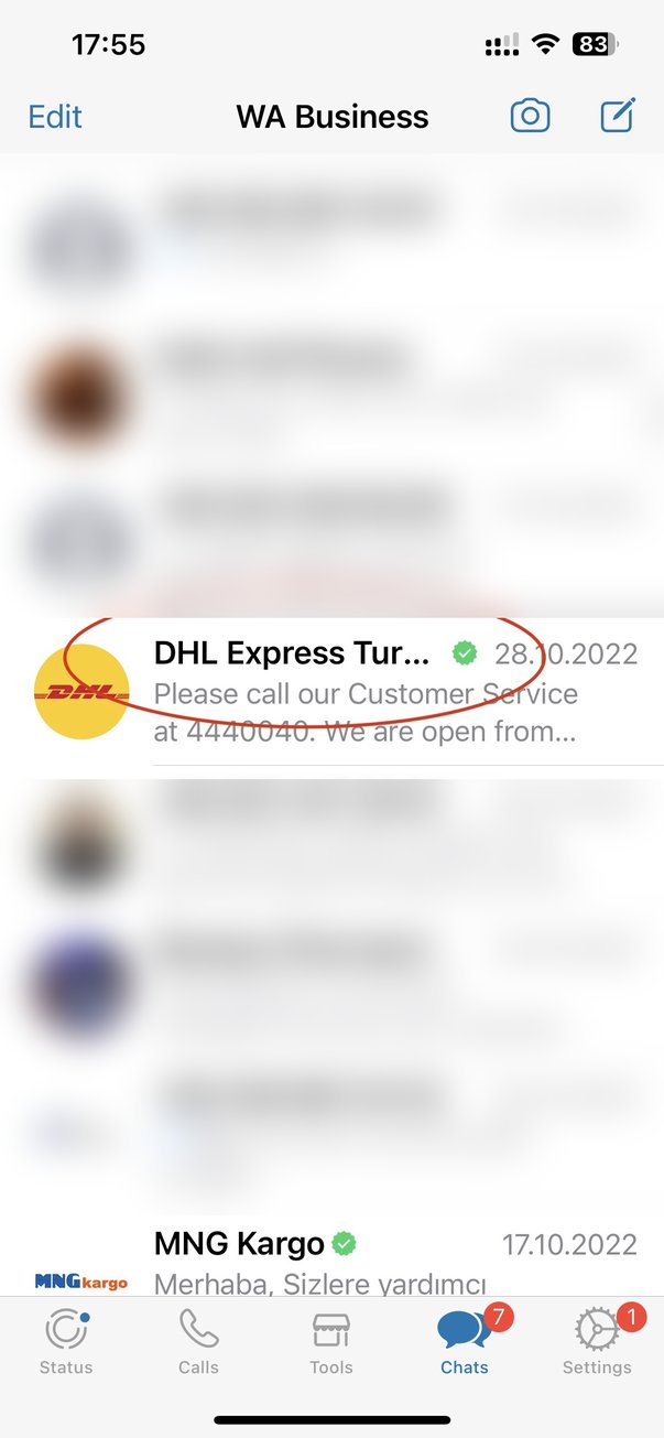 Список чатов: официальный бизнес-аккаунт DHL Express показан названием с зеленой галочкой