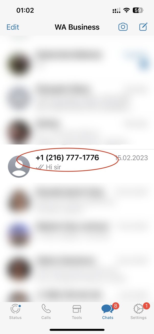 Список чатов WhatsApp Business: обычный бизнес-аккаунт показан номером телефона